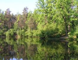 Дача у озера