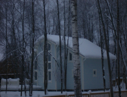 Ромашки