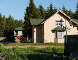 Боровик