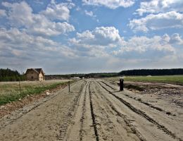 Ефимовский лес
