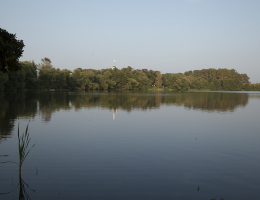 Кузнецы