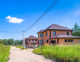Рыжики