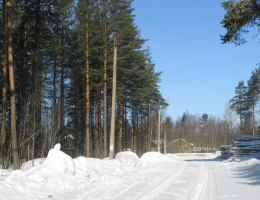 Сосны (Всеволожский)