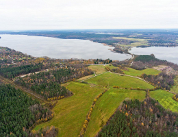 Honkaniemi (ДНП «Долина озер»)