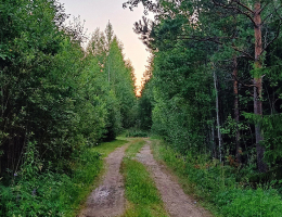 Юрки