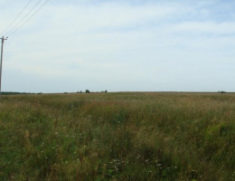 Поместье в Низино