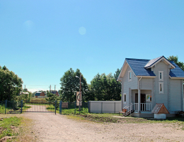 Лебединое