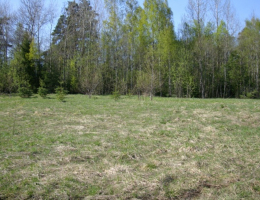 Лехтуси