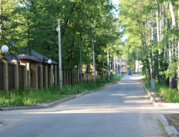 Зеленый бор