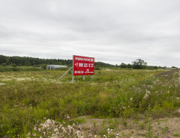 Абрикос