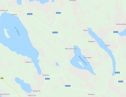 В Красносельском поселении