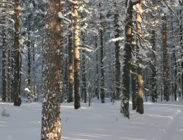 Жемчужина Карелии