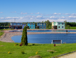 Рыбицы-1
