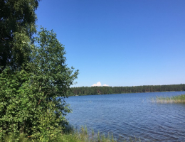 Снетково