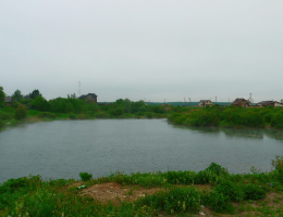 Родник