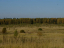КП «Пахомово»