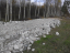 КП «Борисова Грива» (17.10.14)